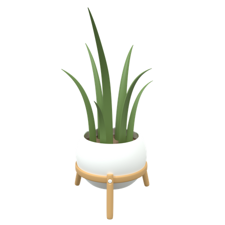 Office Plant  3D Icon