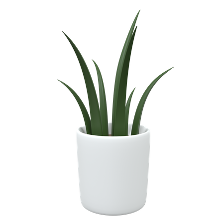 Office Plant  3D Icon