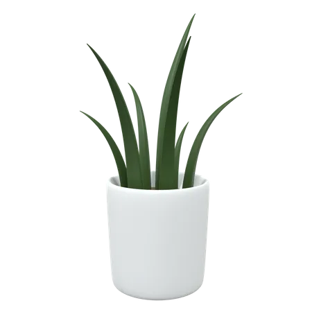 Office Plant  3D Icon