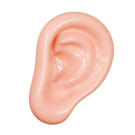 Oído humano  3D Icon