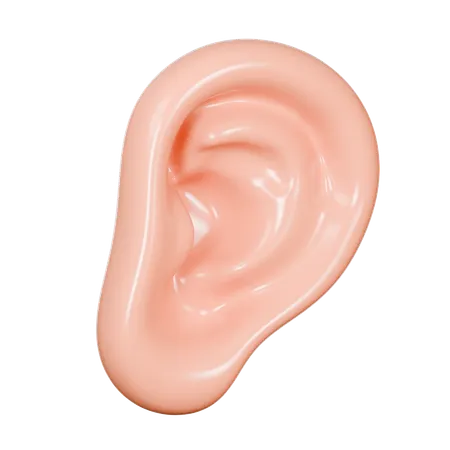 Oído humano  3D Icon