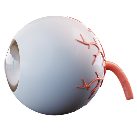 Ojo  3D Icon