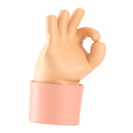 Ok gesto con la mano  3D Icon