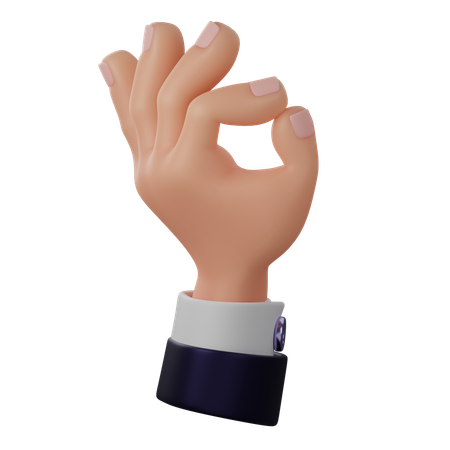 Ok Gesture  3D Icon