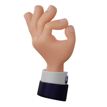 Ok Gesture  3D Icon