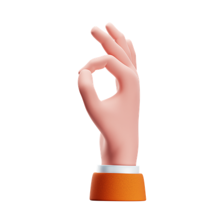 Ok Hand Gesture  3D Icon