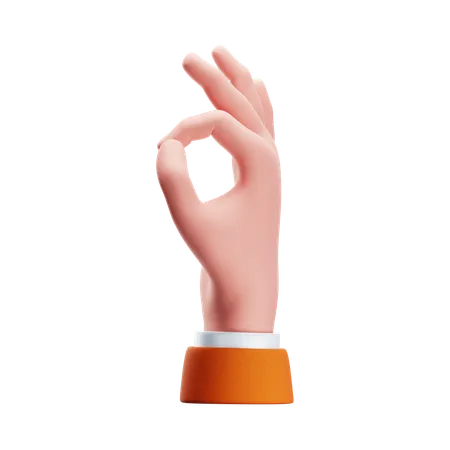 Ok Hand Gesture  3D Icon