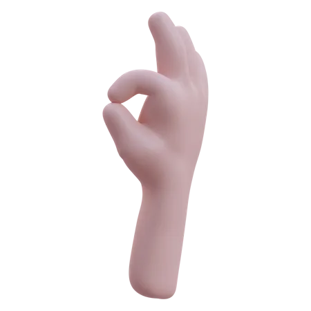 Ok Hand Gesture  3D Icon