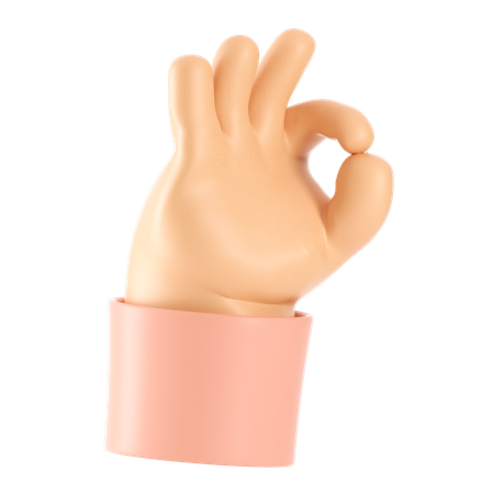 Ok Hand Gesture  3D Icon