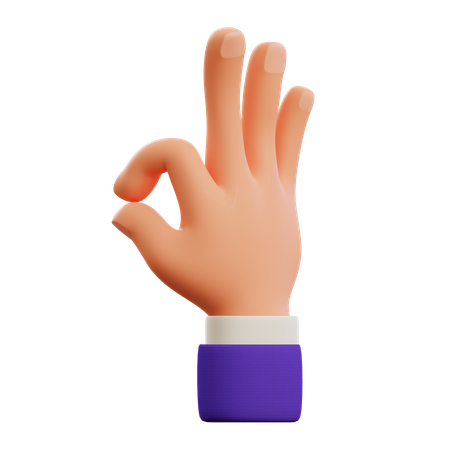 Ok hand gesture  3D Icon