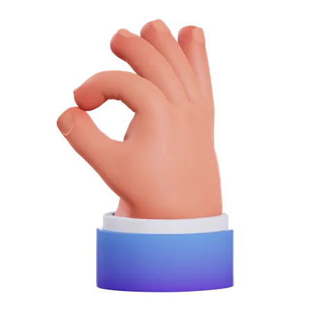 Ok Hand gesture  3D Illustration