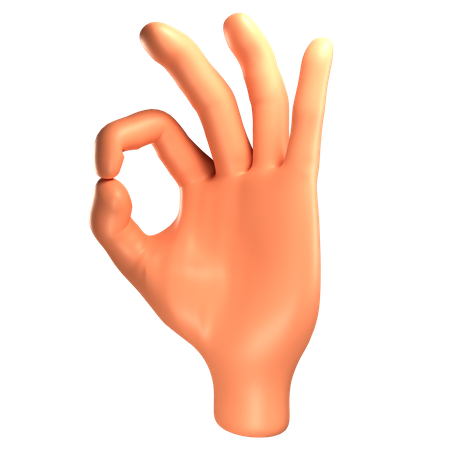 Ok hand gesture  3D Illustration