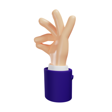 Ok hand gesture  3D Illustration