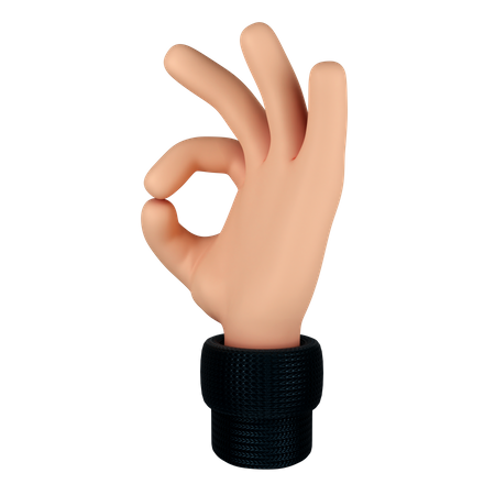 Ok Hand Gesture  3D Illustration