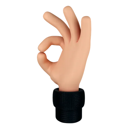 Ok Hand Gesture  3D Illustration