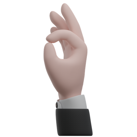 Ok Hand Gestures  3D Icon