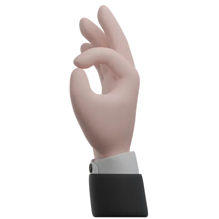 Ok Hand Gestures  3D Icon