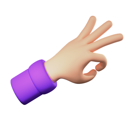 Ok Sign Hand Gesture  3D Icon