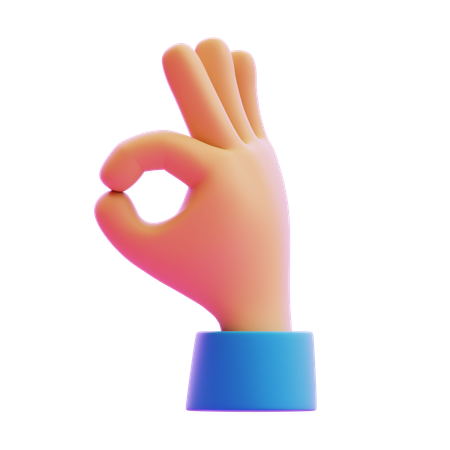 Ok Sign Hand Gesture  3D Icon