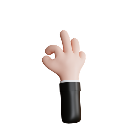 Okay Hand Gesture  3D Icon