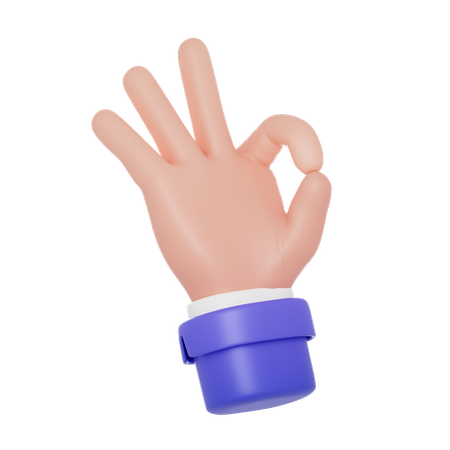 Okay Sign Hand Gesture  3D Icon