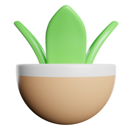 Öko-Pflanze  3D Icon