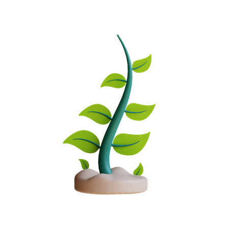 Öko-Pflanze  3D Illustration
