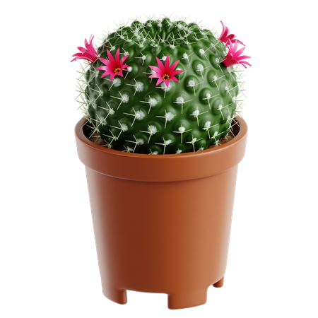 Old Lady Cactus  3D Icon