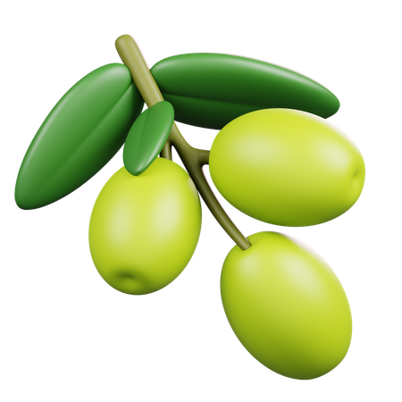 Olive  3D Icon