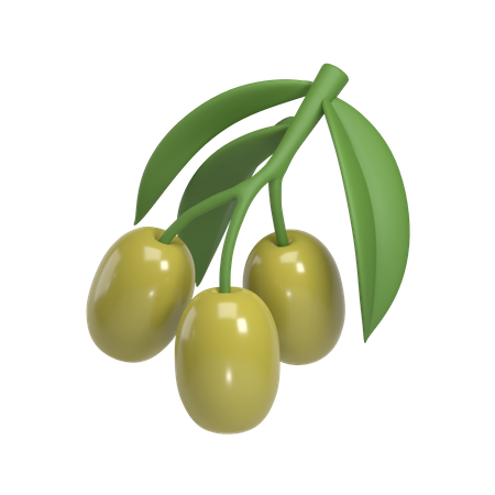 Olive  3D Icon