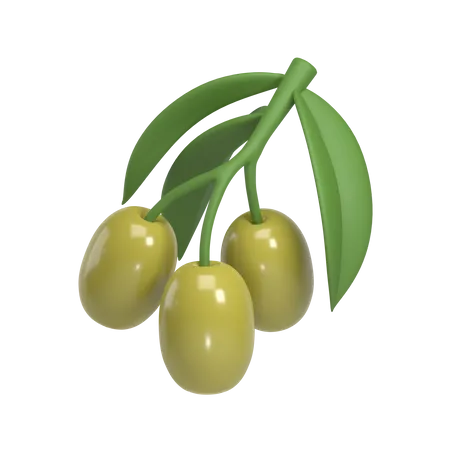 Olive  3D Icon