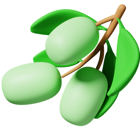 Olive Fruit  3D Icon