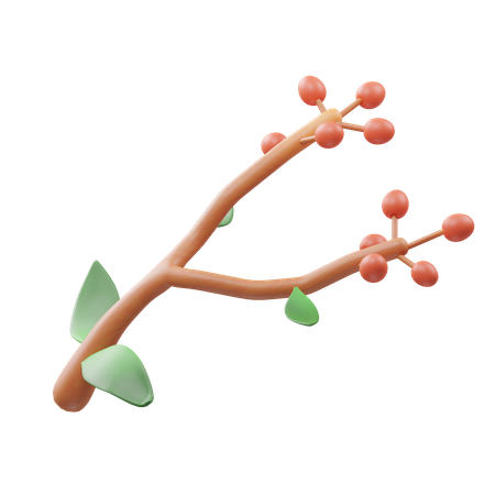 Olive Fruit  3D Icon