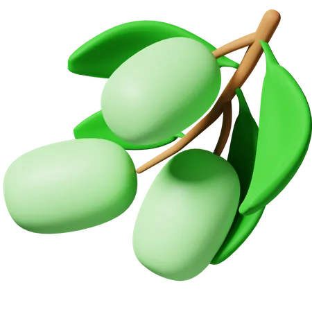 Olive Fruit 3D Icon