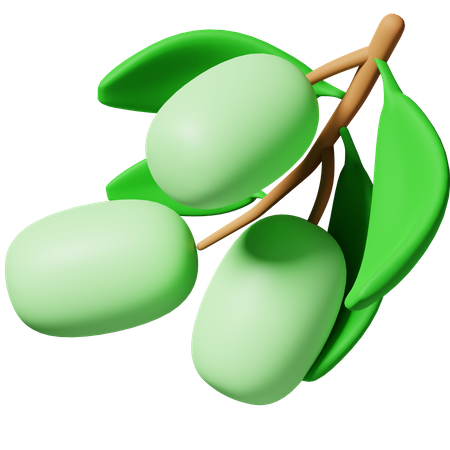 Olivenfrucht  3D Icon