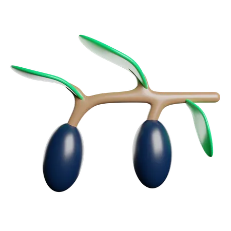 Olives  3D Icon