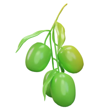 Olives  3D Icon