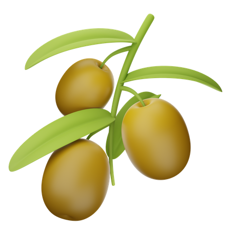 Olives  3D Icon