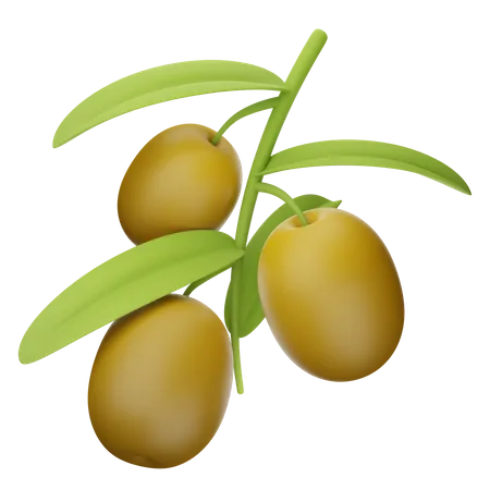 Olives  3D Icon