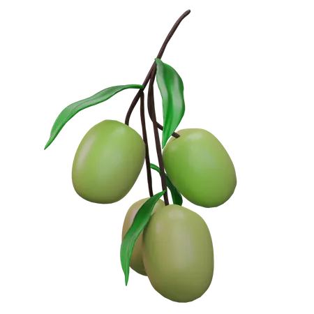 Olives  3D Icon