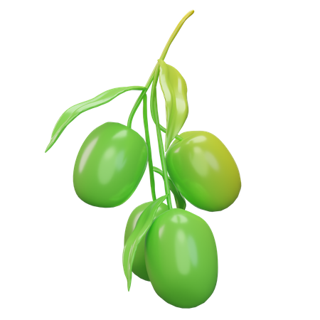 Olives 3D Icon
