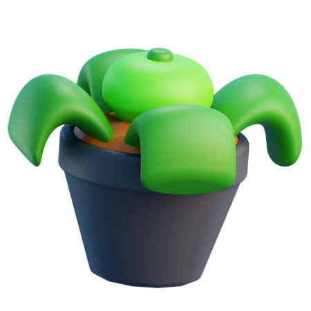 Maceta  3D Icon