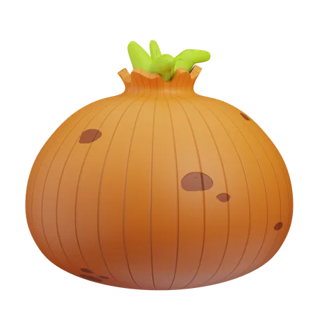 Onion  3D Icon