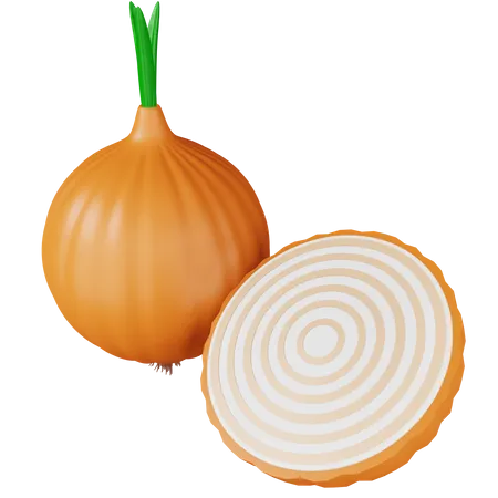 Onion  3D Icon