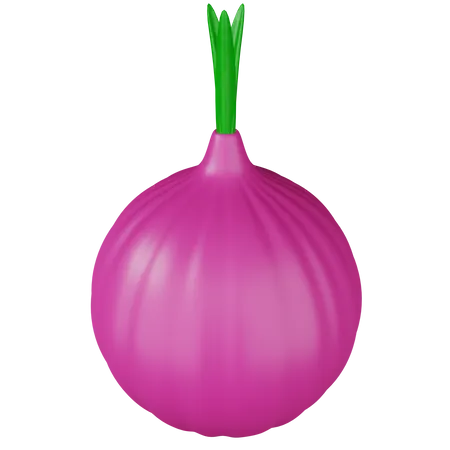 Onion  3D Icon