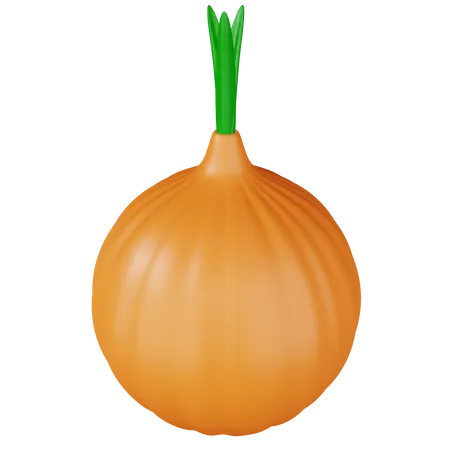 Onion  3D Icon