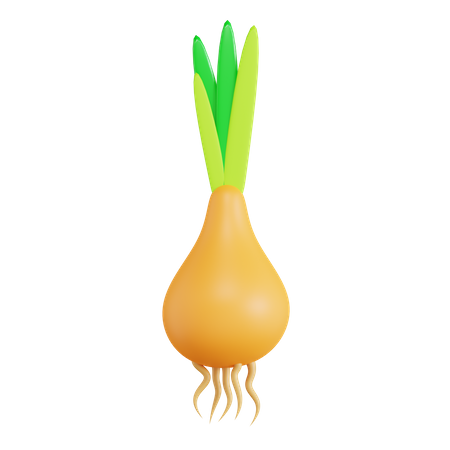 Onion  3D Icon