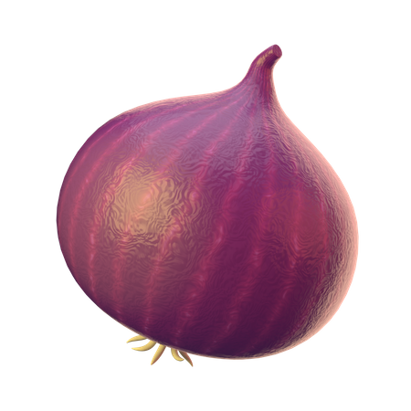 Onion  3D Icon