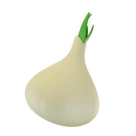 Onion  3D Icon