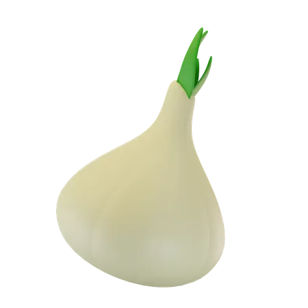 Onion  3D Icon